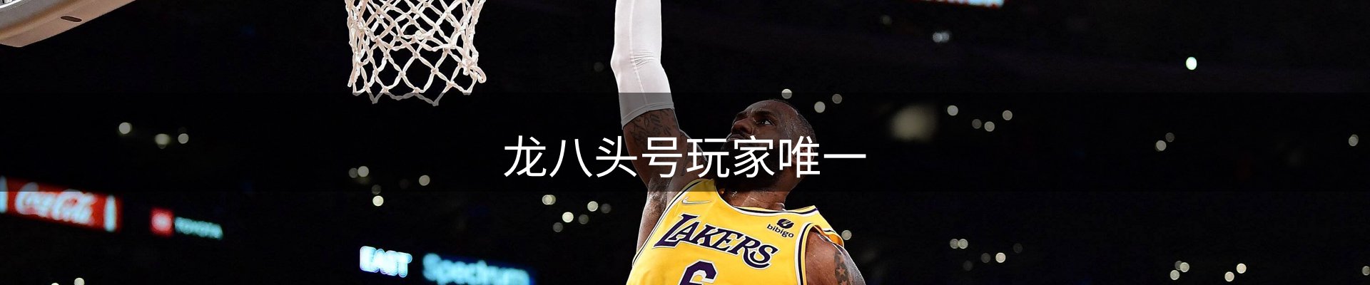 龙八头号玩家唯一